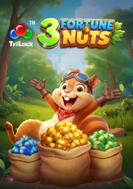 3 Fortune Nuts